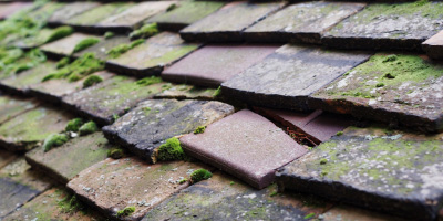 Llanpumsaint roof repair costs
